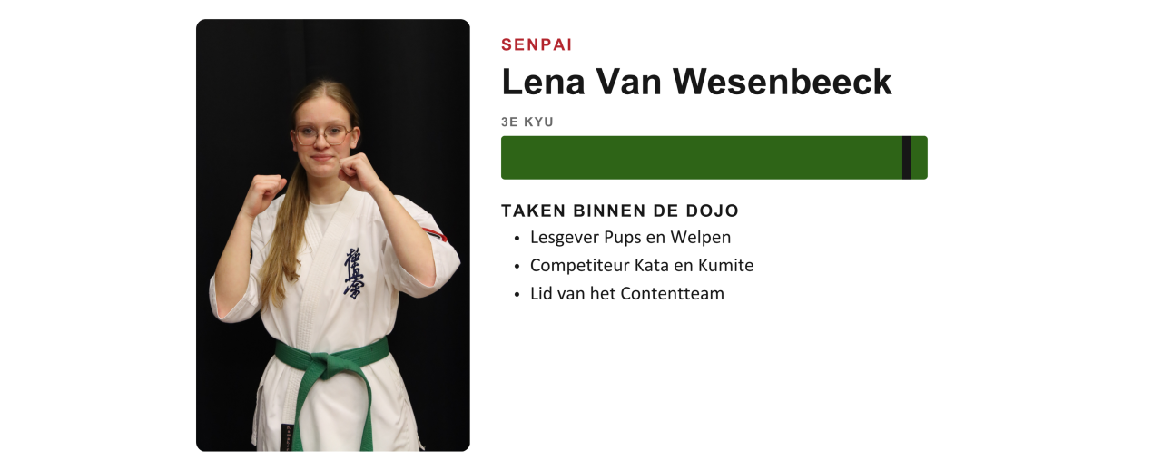 Lesgever van Ookami Dojo