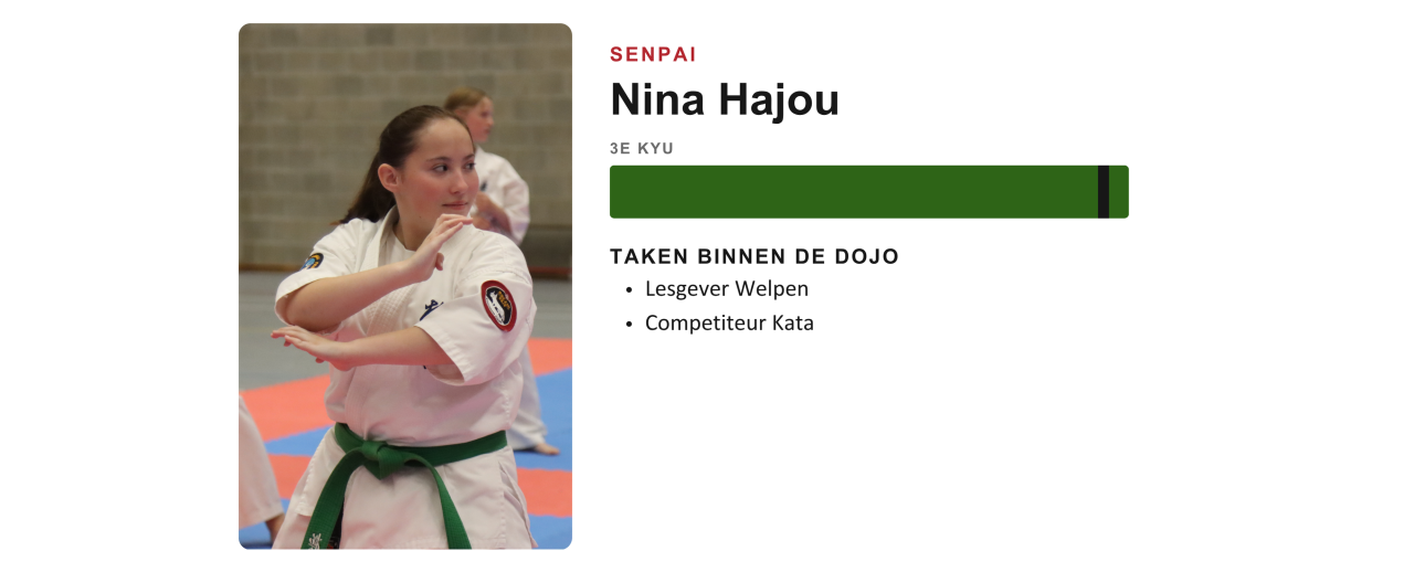 Lesgever van Ookami Dojo