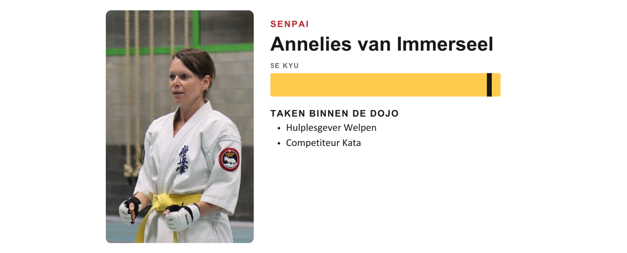 Lesgever van Ookami Dojo