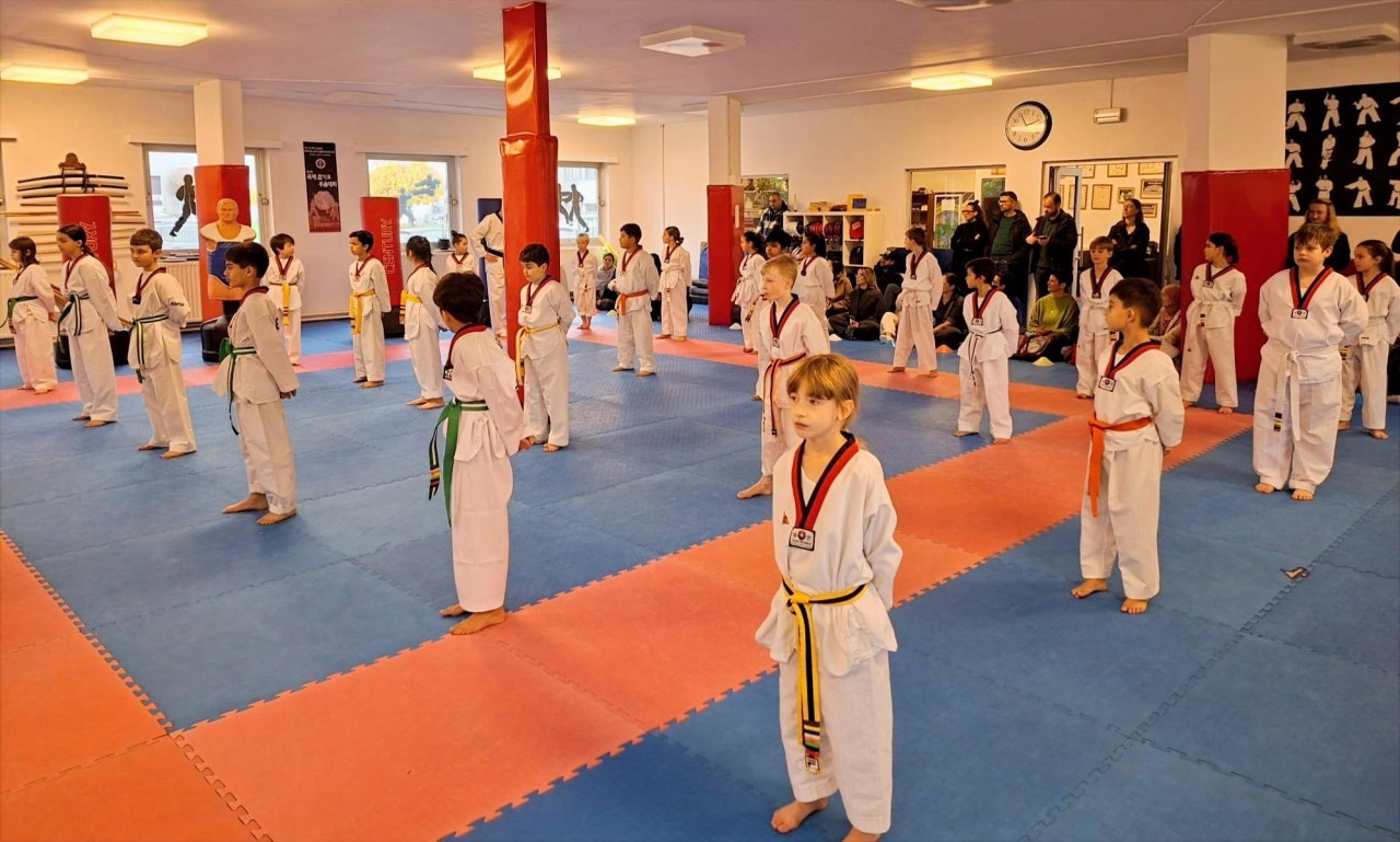 Taekwondo Belt test 7-9 years old group 2