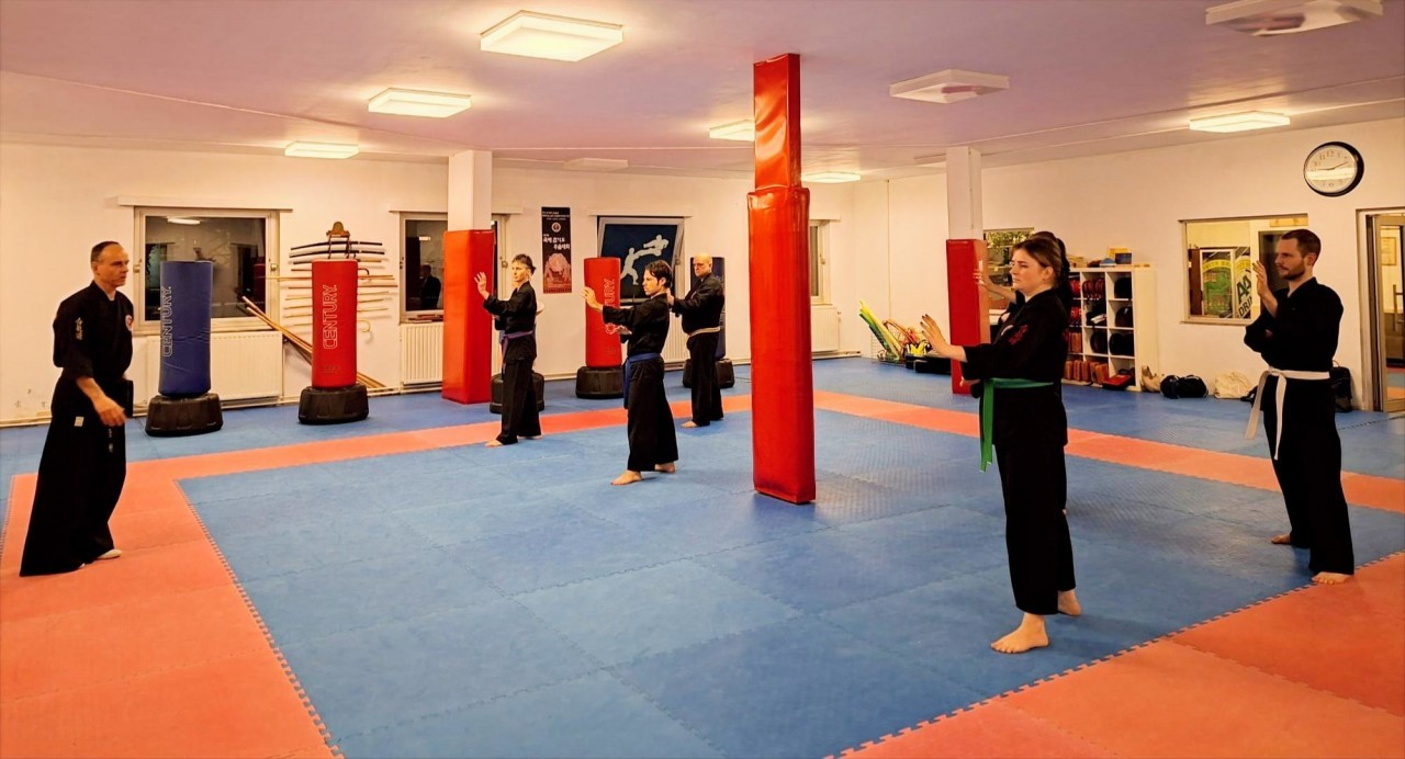 Hapido DAEHAN belt test