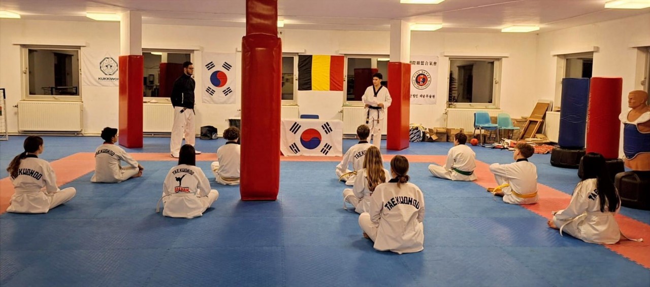 Taekwondo DAEHAN Adults Belt Testing