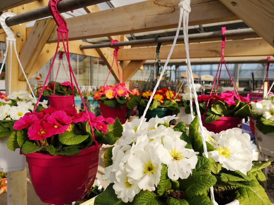 Cherry Lane Pulham Market