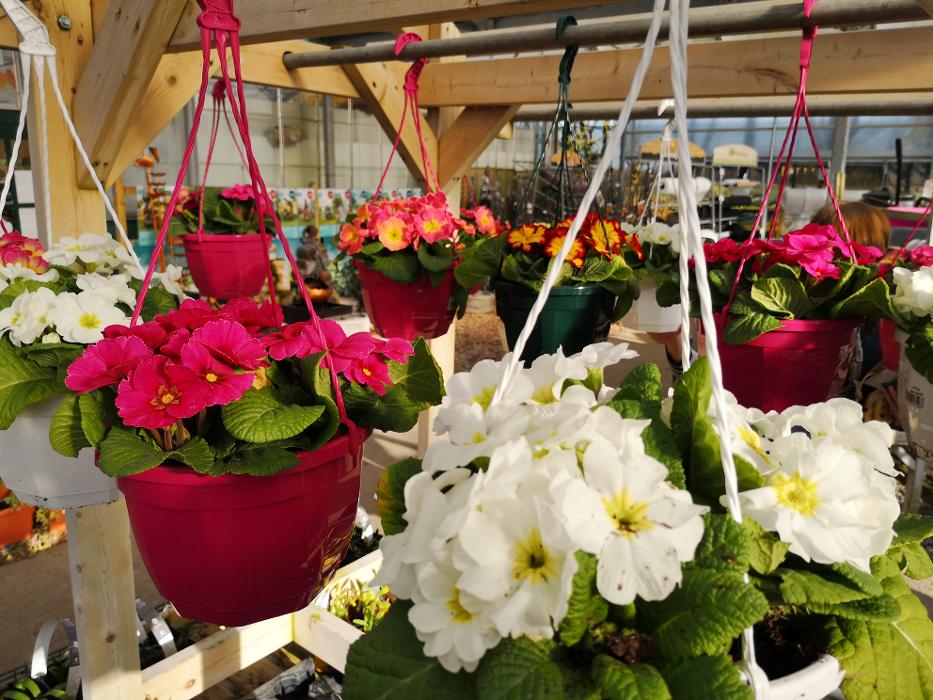 Cherry Lane Pulham Market