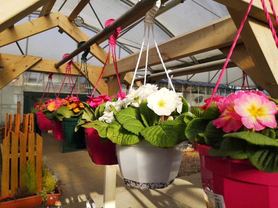 Cherry Lane Pulham Market