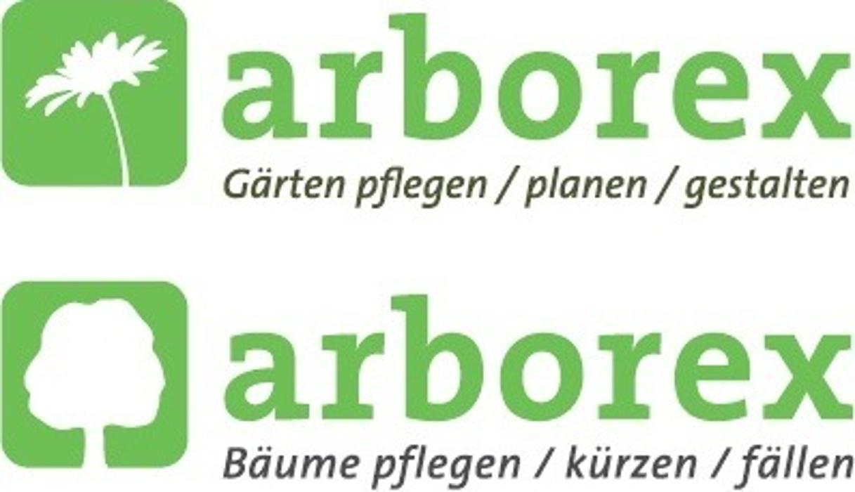 Bild zu arborex GmbH in Detmold Bild zu arborex GmbH in Detmold
