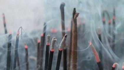 Saccidananda Yoga, Jungstraße in Berlin