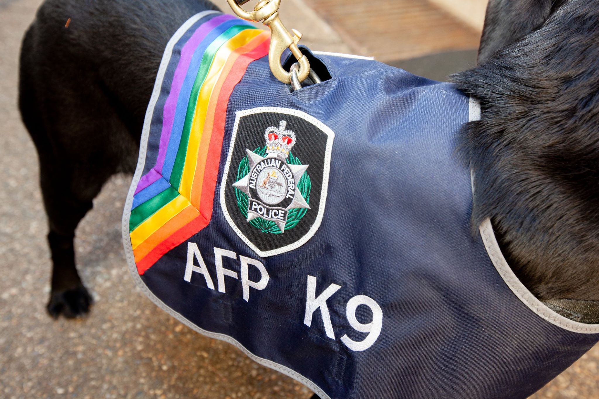 Australian Police Dismantle TeamPCP Hacking Ring
