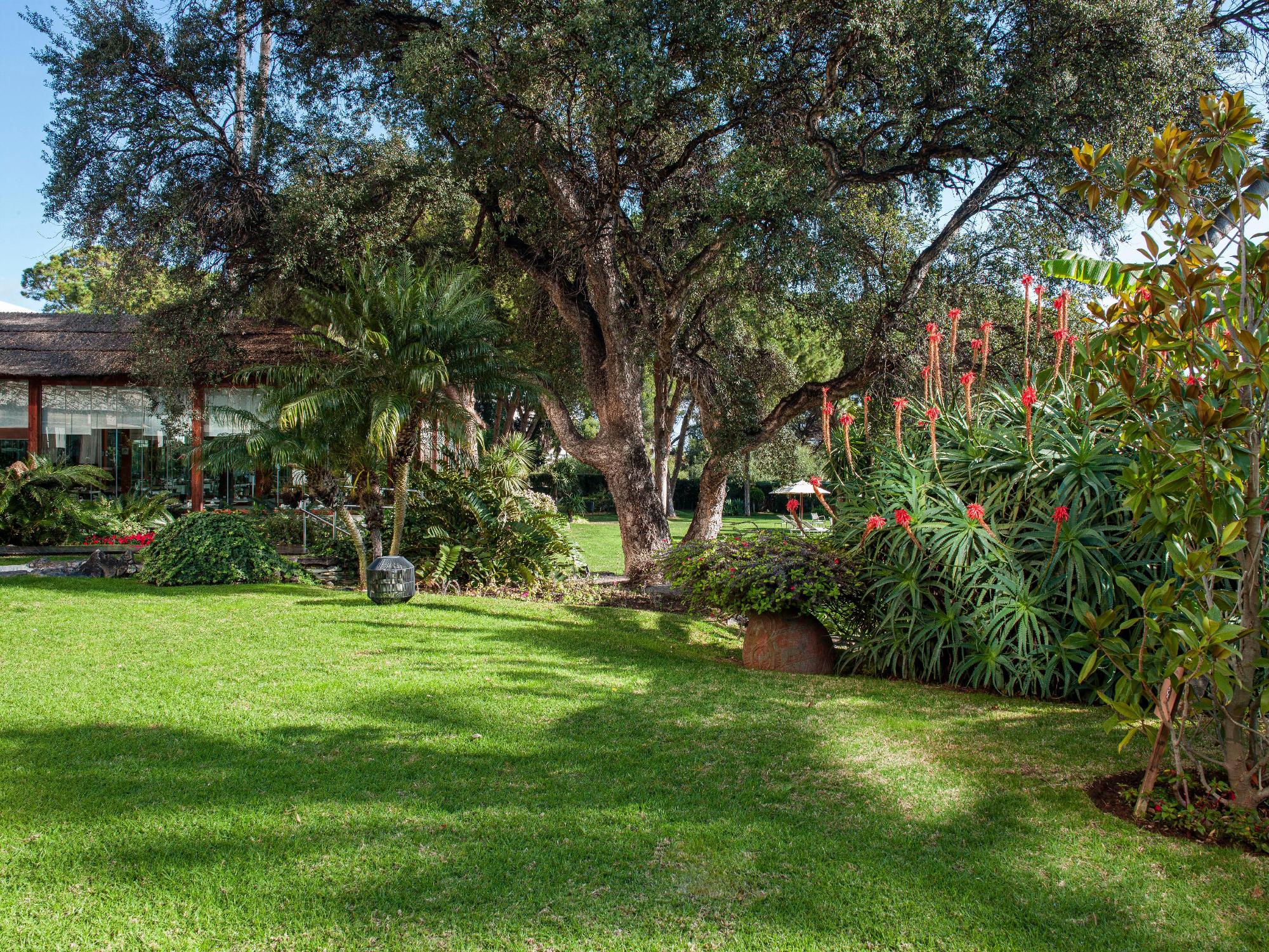 Place around image