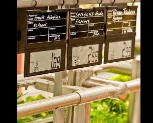 Baker A.J. & Sons Pty Ltd