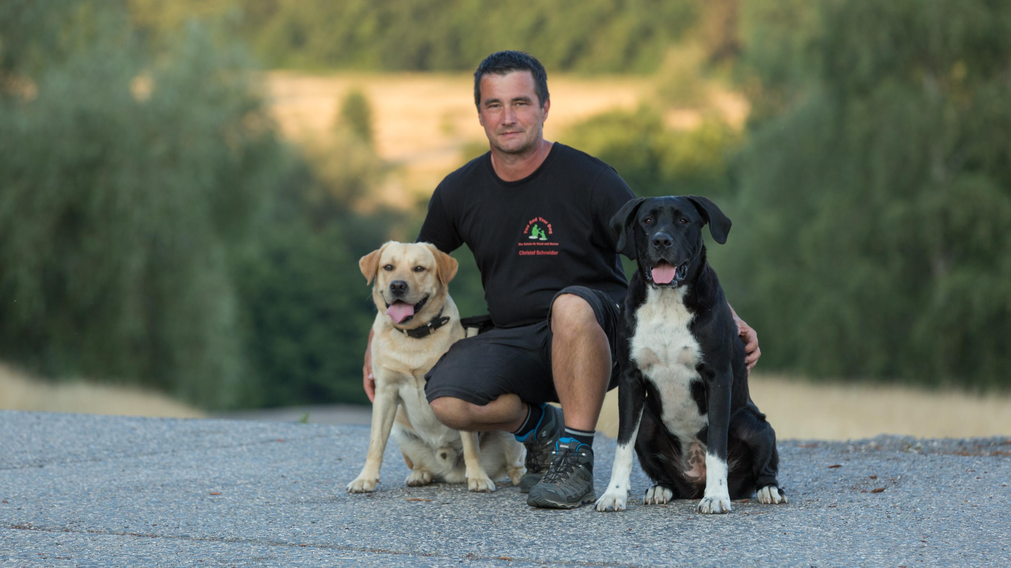 Hundeschule You And Your Dog, Karnhöfener Straße in Niedersayn