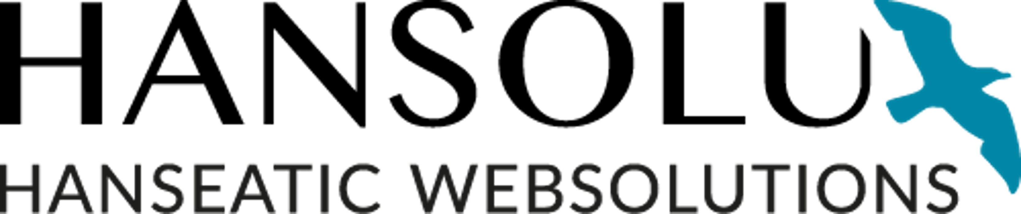 HANSOLU | Webdesign Agentur Lübeck in Lübeck