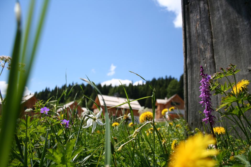 Alpenimmobilien, Wolfratshauser Str. in München