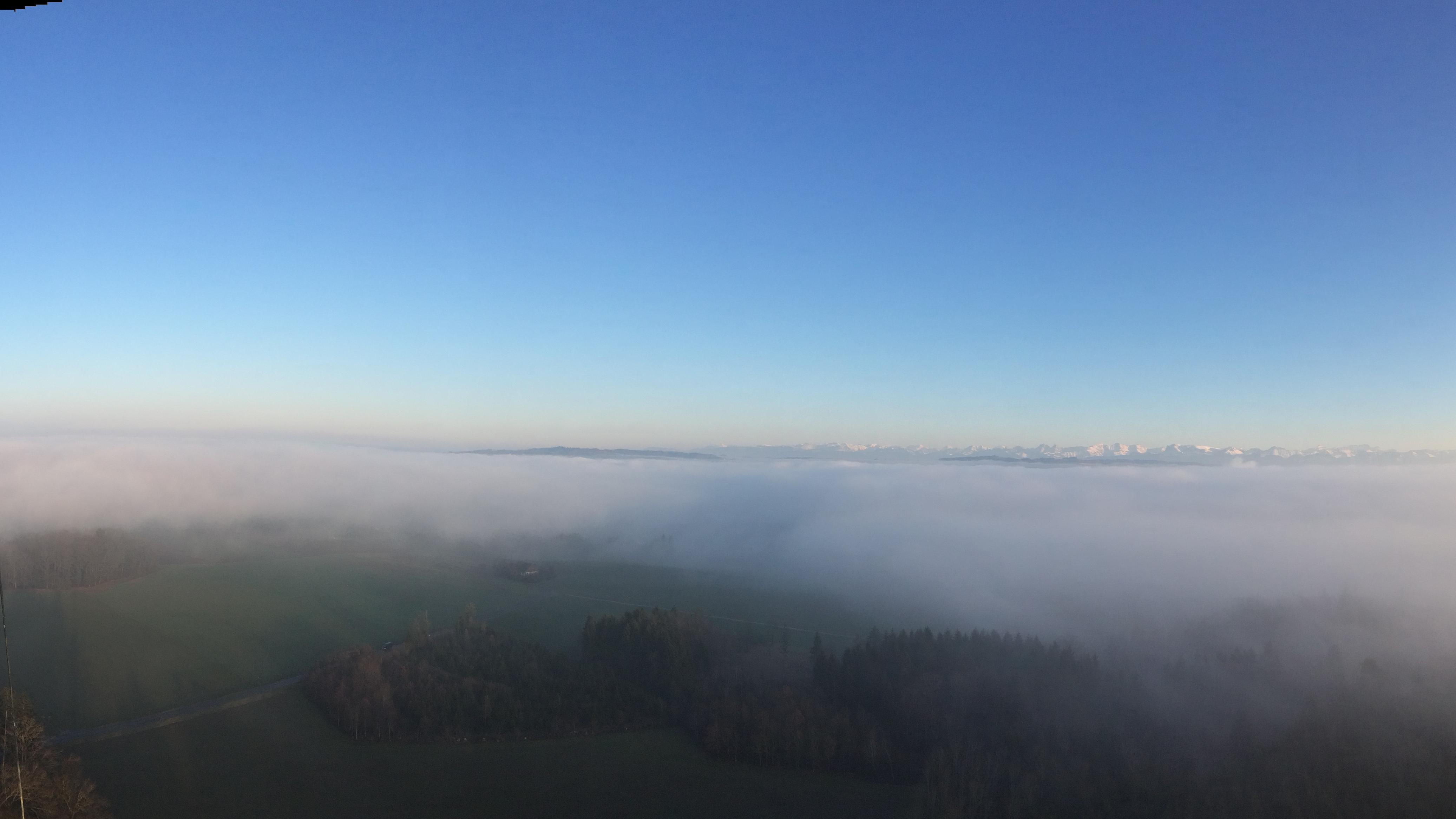 PSA-Check Poelmann, Am Herdicksbach in Waltrop