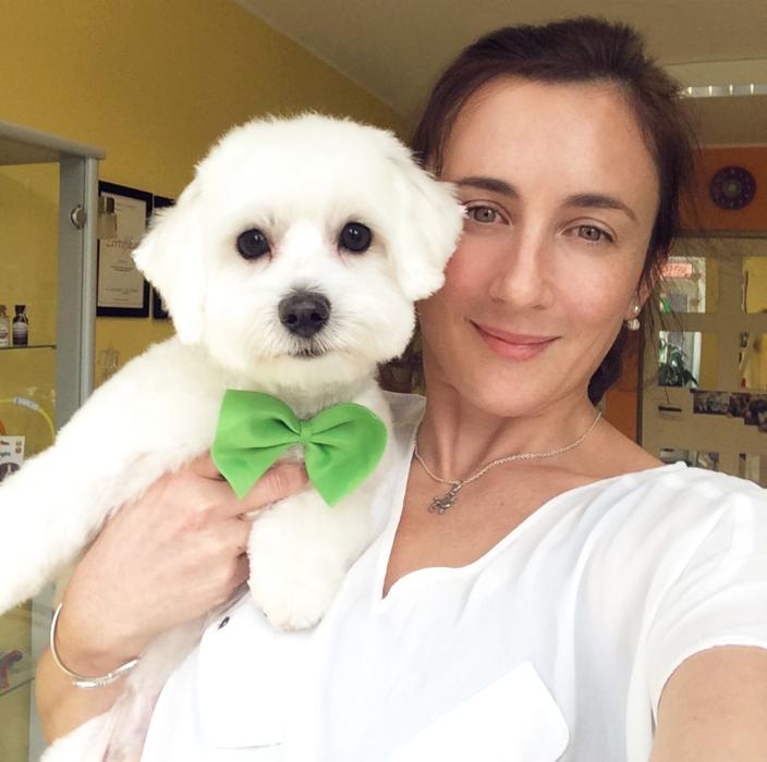 Hundesalon Ziborich - Schwarzenbek und Umgebung