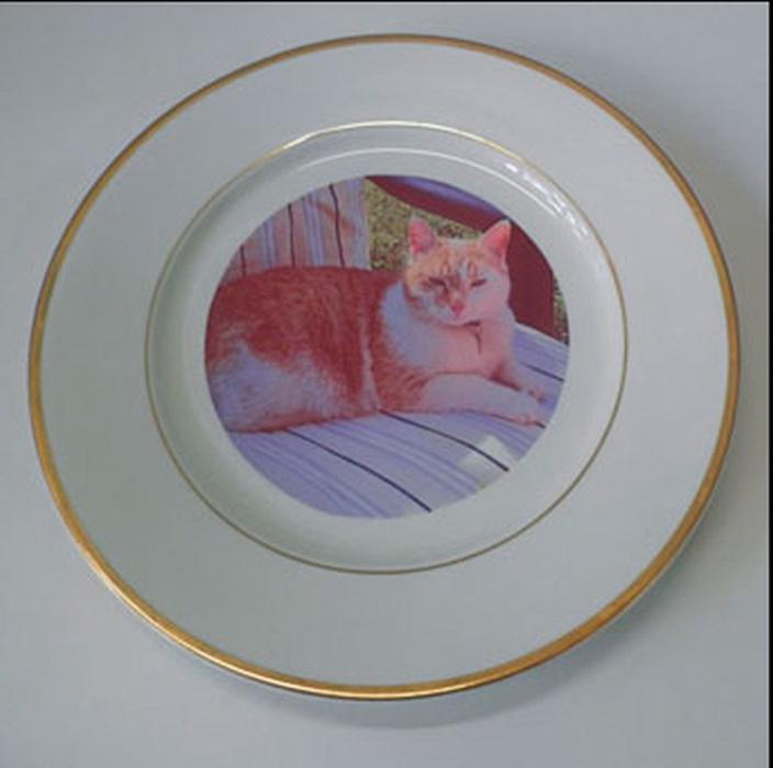 Druckerei Franz, Brüderstraße in Leipzig