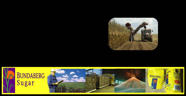 Bundaberg Sugar Ltd
