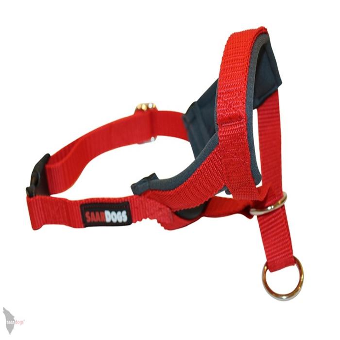 Saardogs, Lüderitzstraße in Völklingen