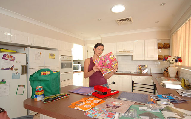 Skydome Skylight Systems