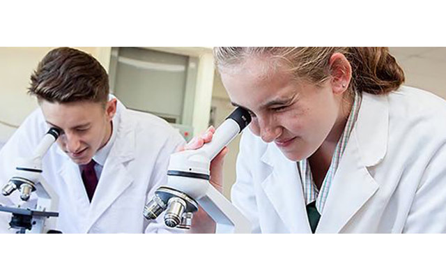 Brisbane Catholic Education