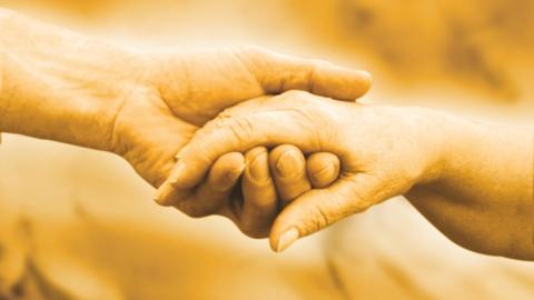 Pflegedienst Bartels, Hamburger Straße in Gifhorn