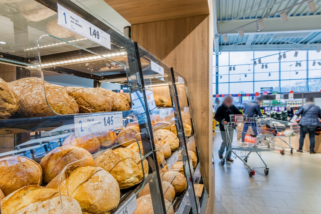 Miniature de la galerie