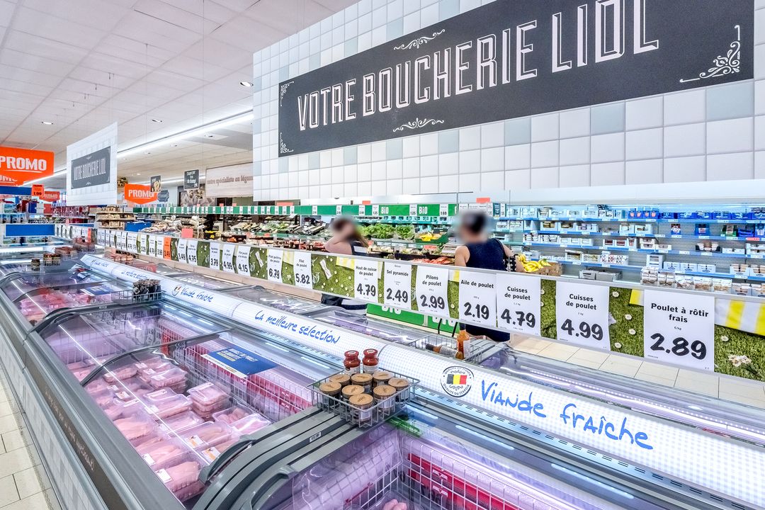 Miniature de la galerie