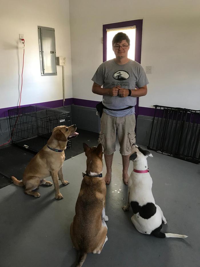 Richmond Dog Wizard - Richmond, VA