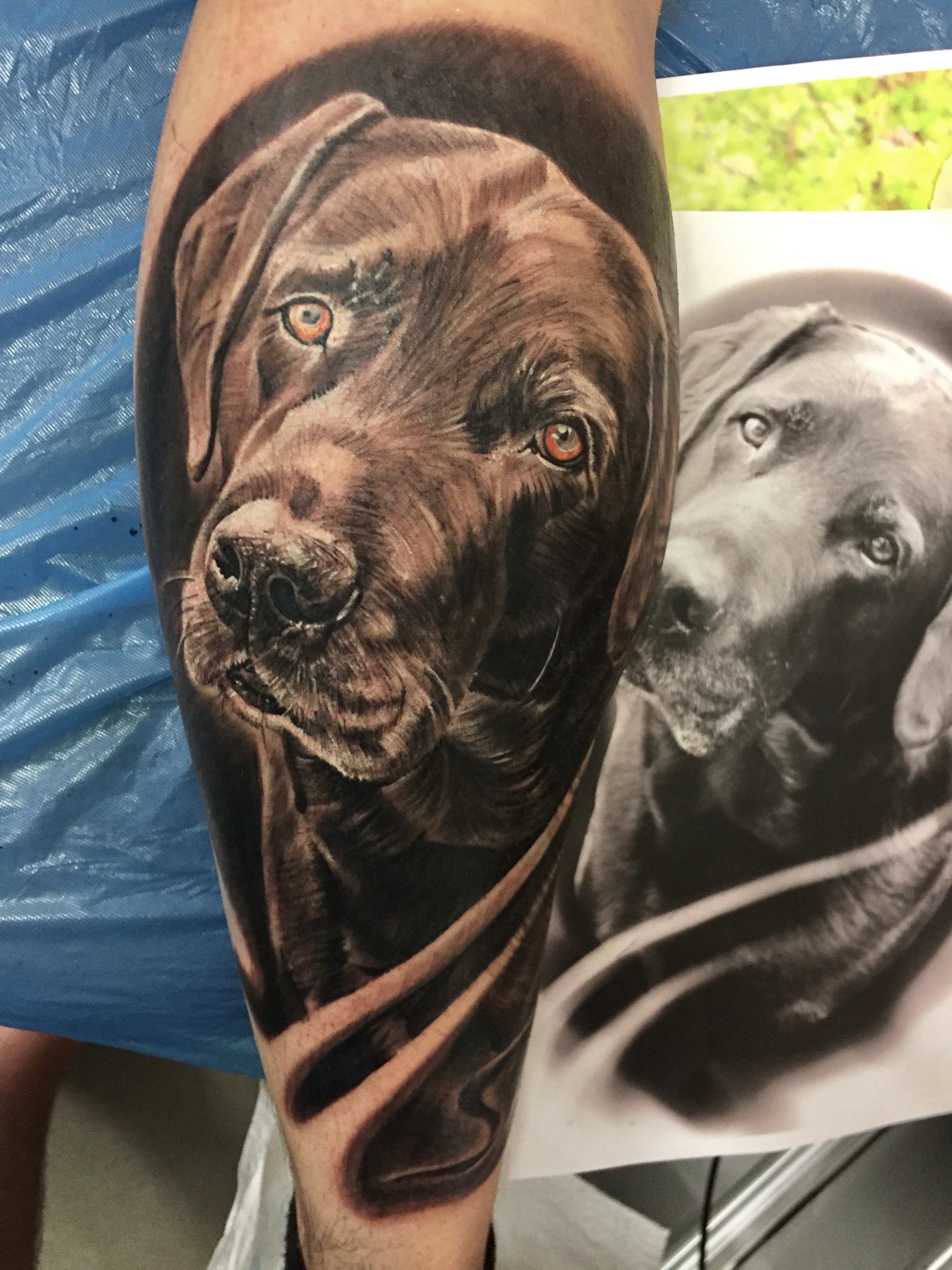 Galerie-Thumbnail