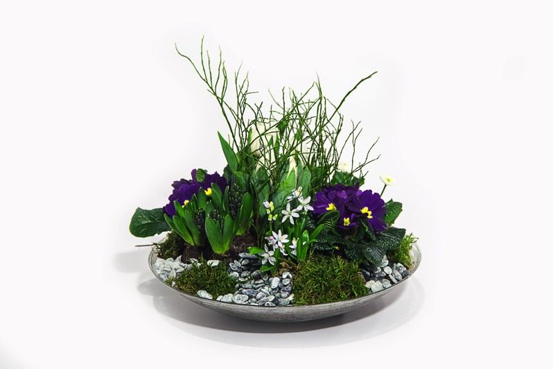 Fotos - Gärtnerei Volk GmbH - 5