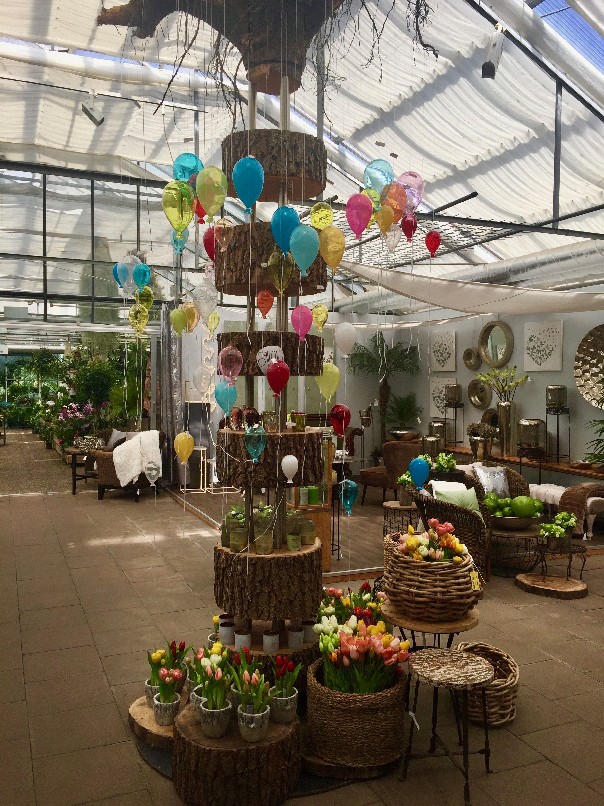 Fotos - Gärtnerei Volk GmbH - 3