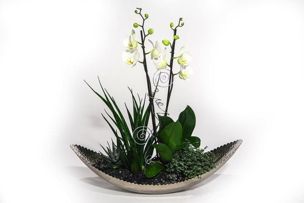 Gärtnerei Volk GmbH, Hasenwinkel in Braunschweig