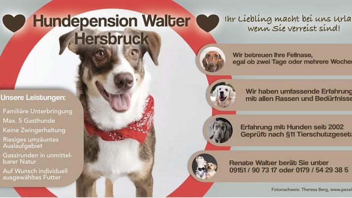 Ernst & Nates Hundepension, Erzgrube in Hersbruck