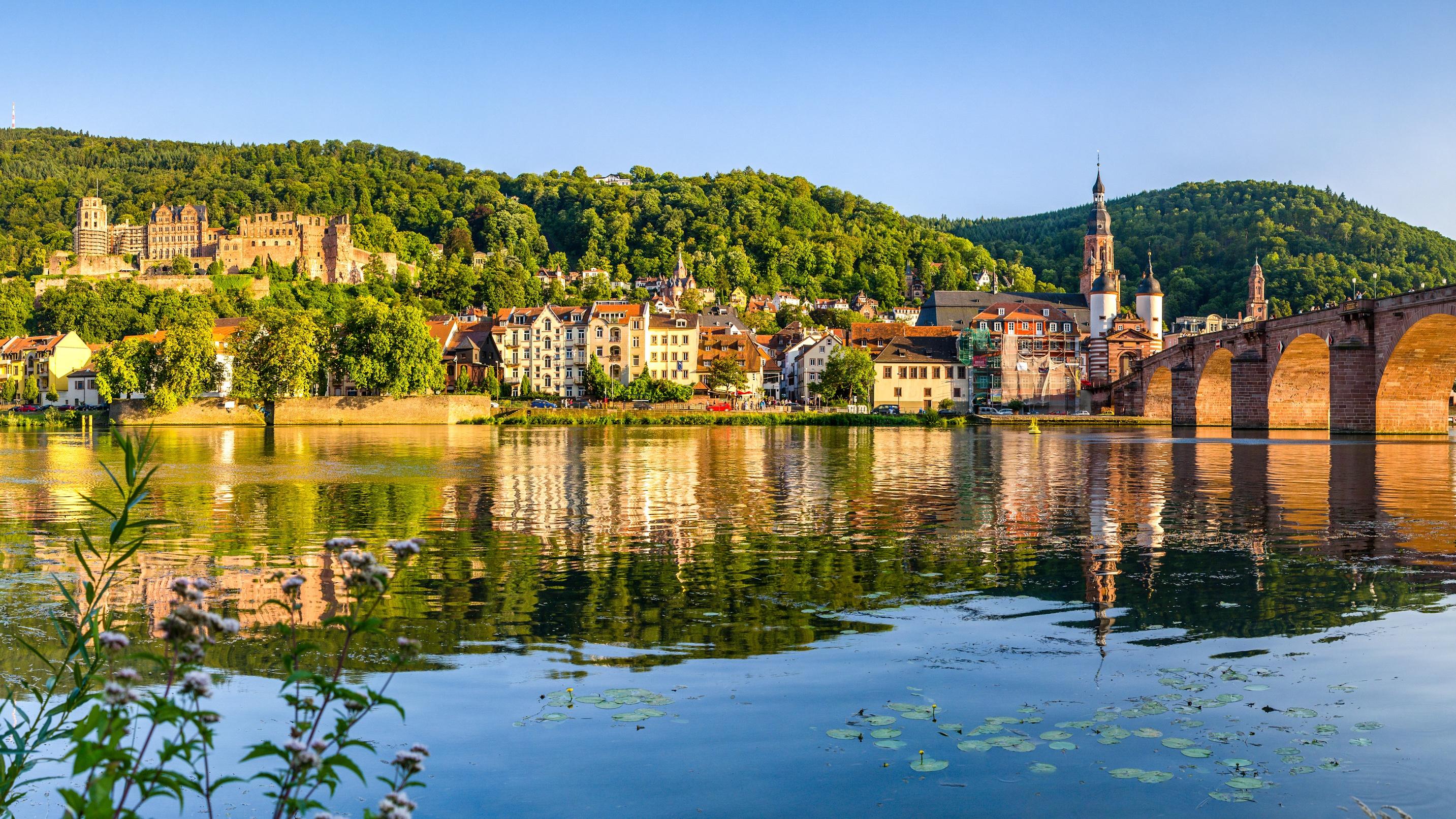 also Akademie für Leitung, Soziales und Organisation GmbH, Waldhofer Straße in Heidelberg
