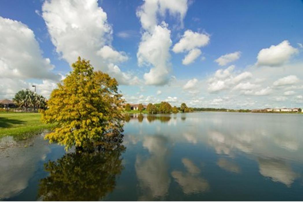 CLOSED - LGI Homes - Villages at BridgeWater - Lakeland, FL