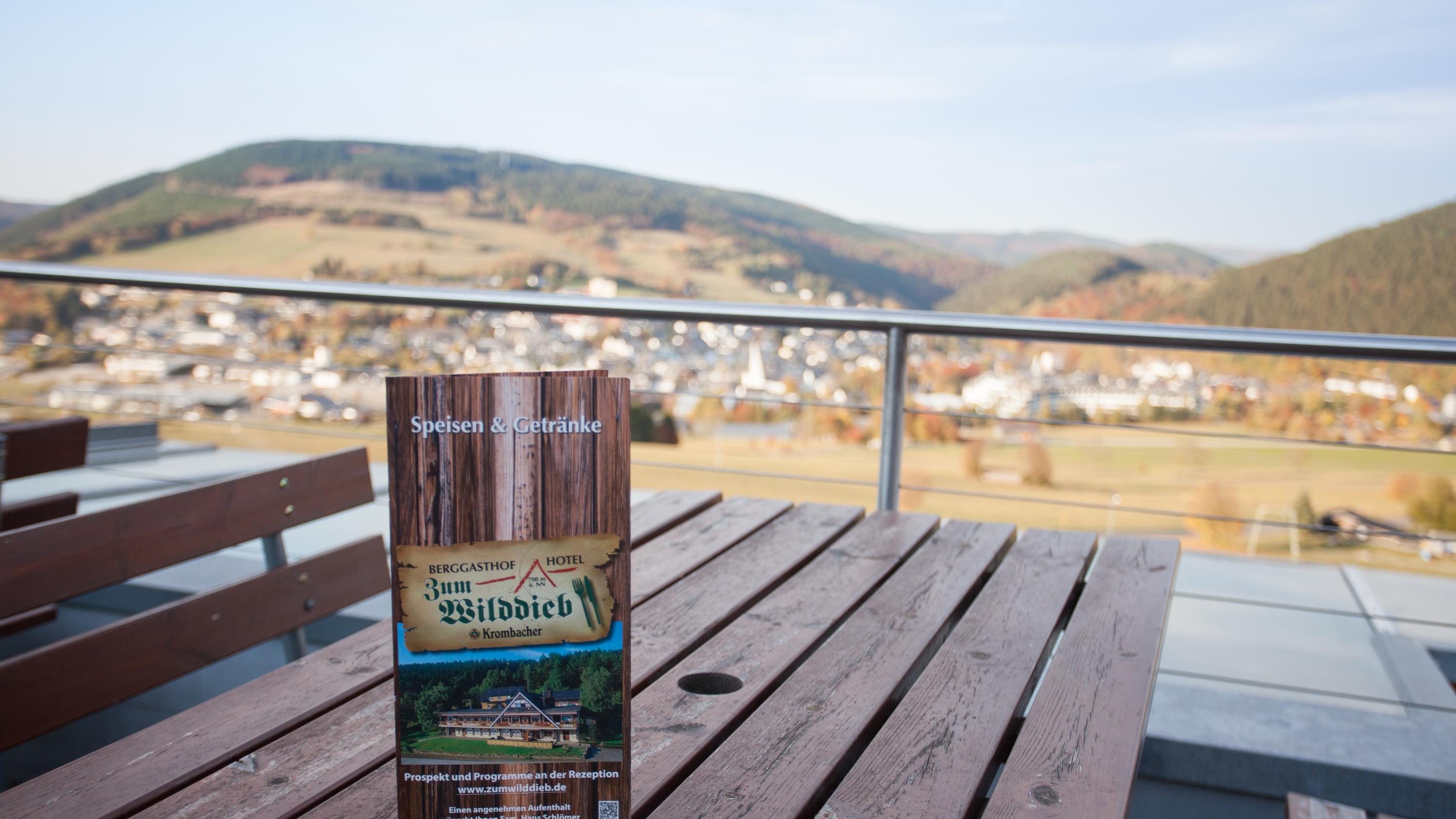 Hotel Panorama garni, Zum Treis in Willingen (Upland)