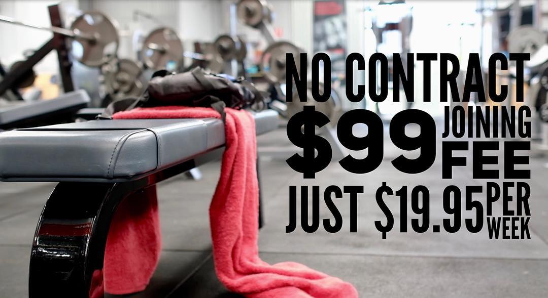 Vibrant Health & Fitness