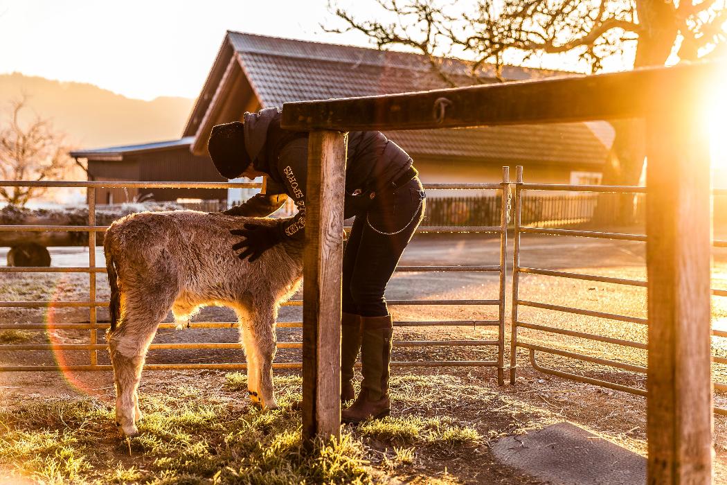 Tierklinik24, Schmittenweg in Staffelbach