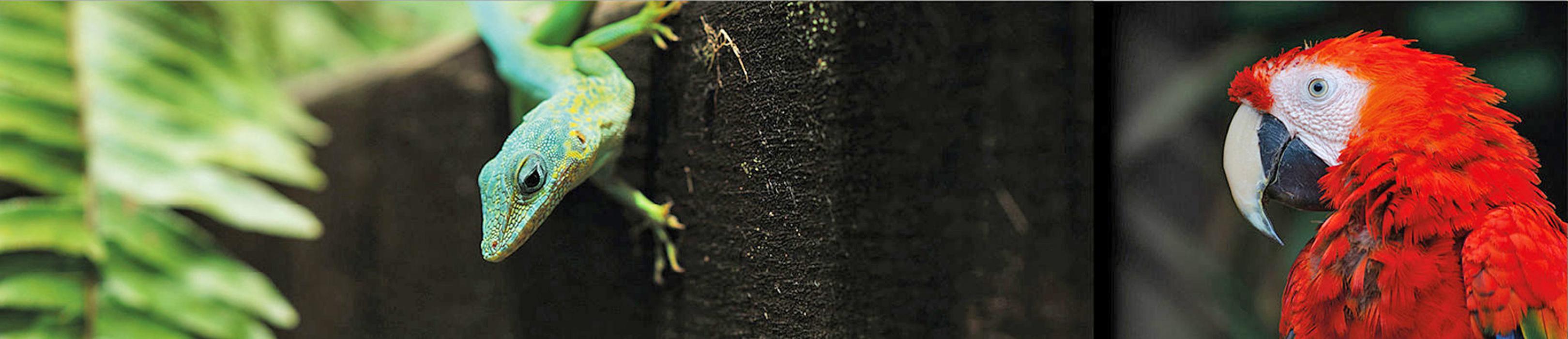 Tierärztliche Klinik Gessertshausen, Grasweg in Gessertshausen