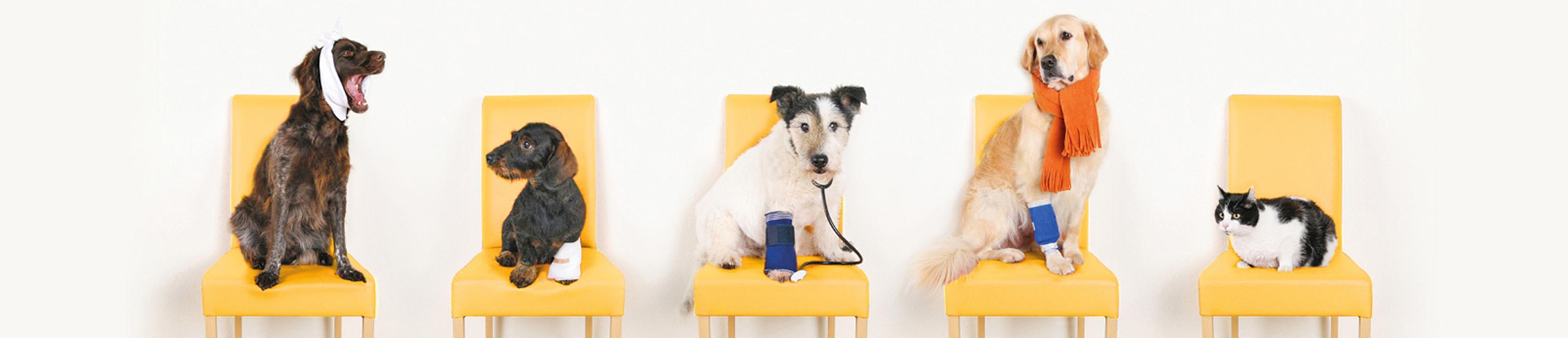 Tierärztliche Klinik Gessertshausen, Grasweg in Gessertshausen