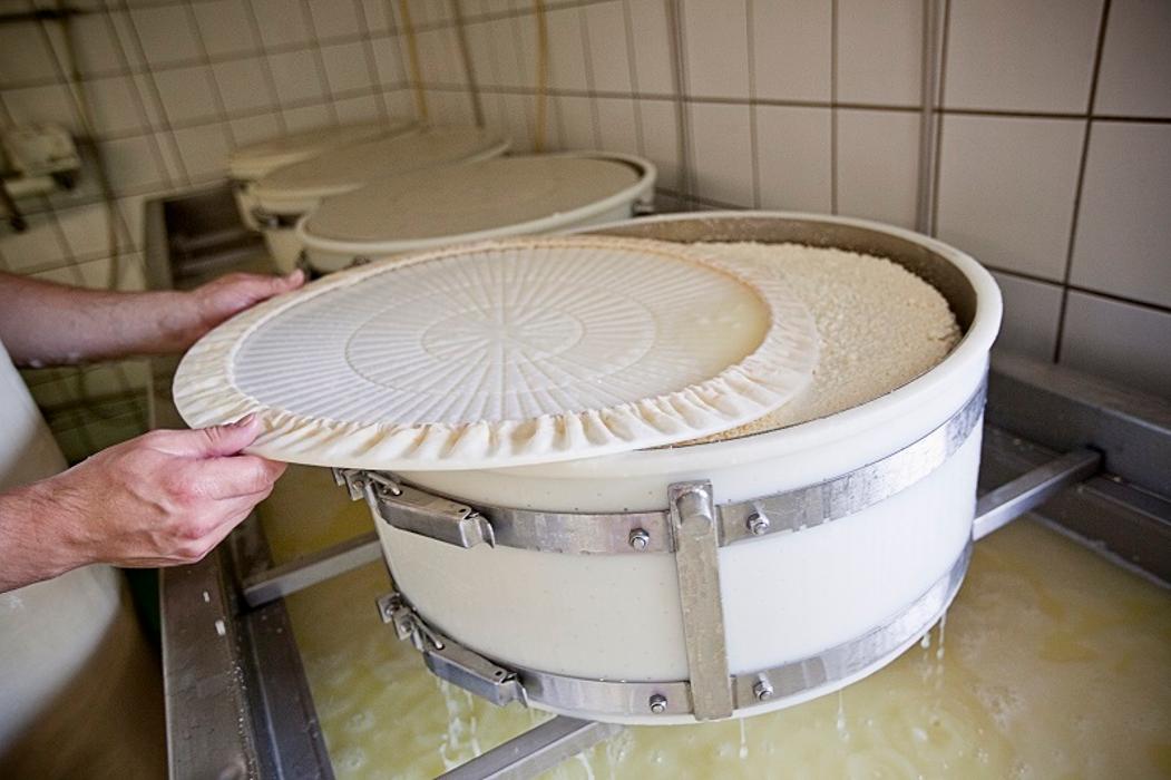 Niederkaseralm Almkäserei - Käse Joghurt Milch und Butter Kelchsau Brixental, Kurzer Grund in Kelchsau