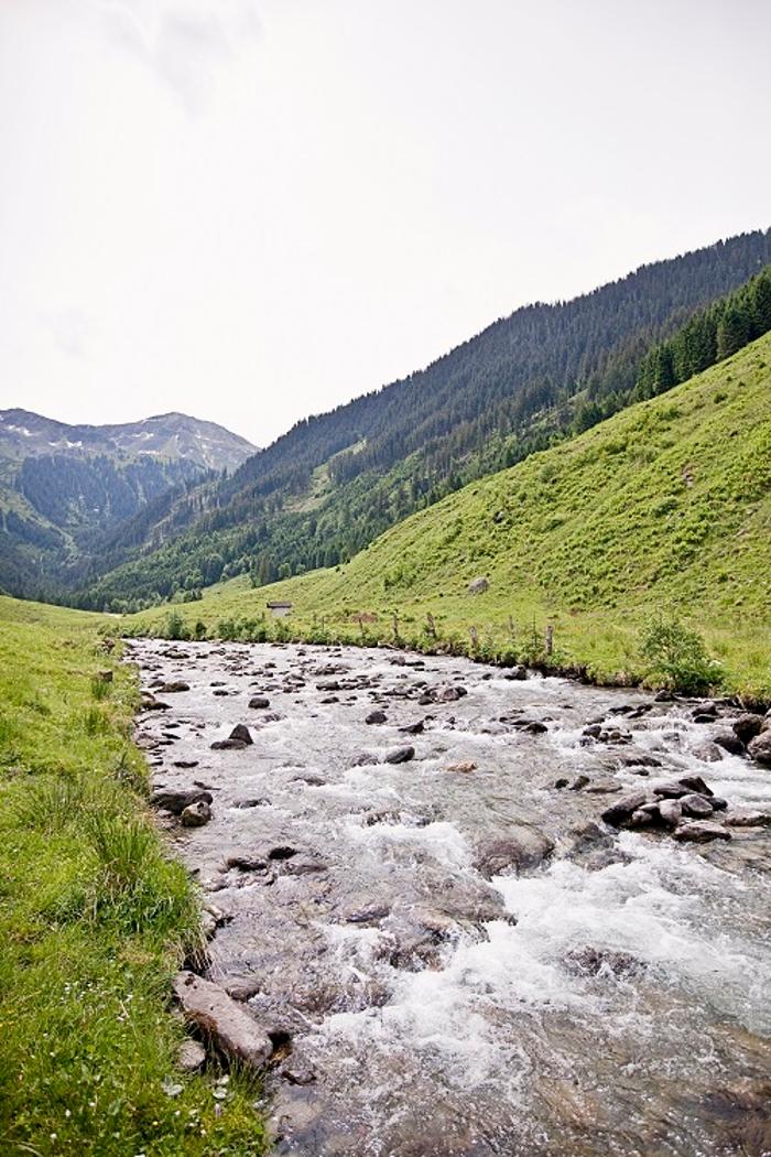 Niederkaseralm Almkäserei - Käse Joghurt Milch und Butter Kelchsau Brixental, Kurzer Grund in Kelchsau