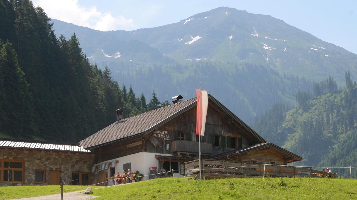 Niederkaseralm Almkäserei - Käse Joghurt Milch und Butter Kelchsau Brixental, Kurzer Grund in Kelchsau