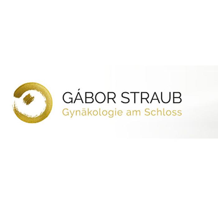 Logo von Gynäkologie am Schloß