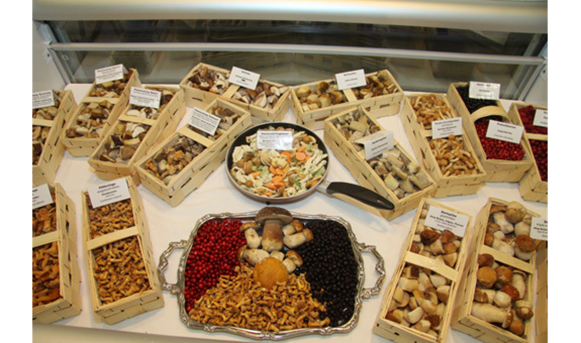 Georg Baier GmbH - Beeren Pilze Marmeladen, Bahnhofstraße in Pressath