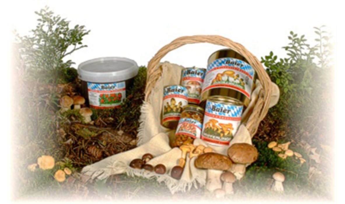 Georg Baier GmbH - Beeren Pilze Marmeladen, Bahnhofstraße in Pressath