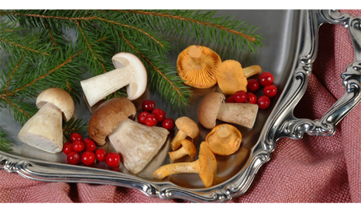 Georg Baier GmbH - Beeren Pilze Marmeladen, Bahnhofstraße in Pressath