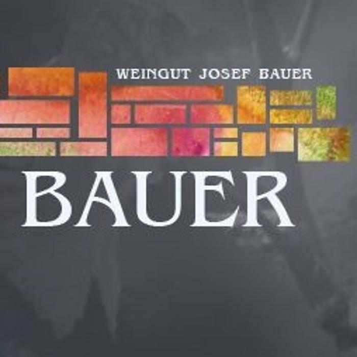 Weingut Florian Bauer in Feuersbrunn
