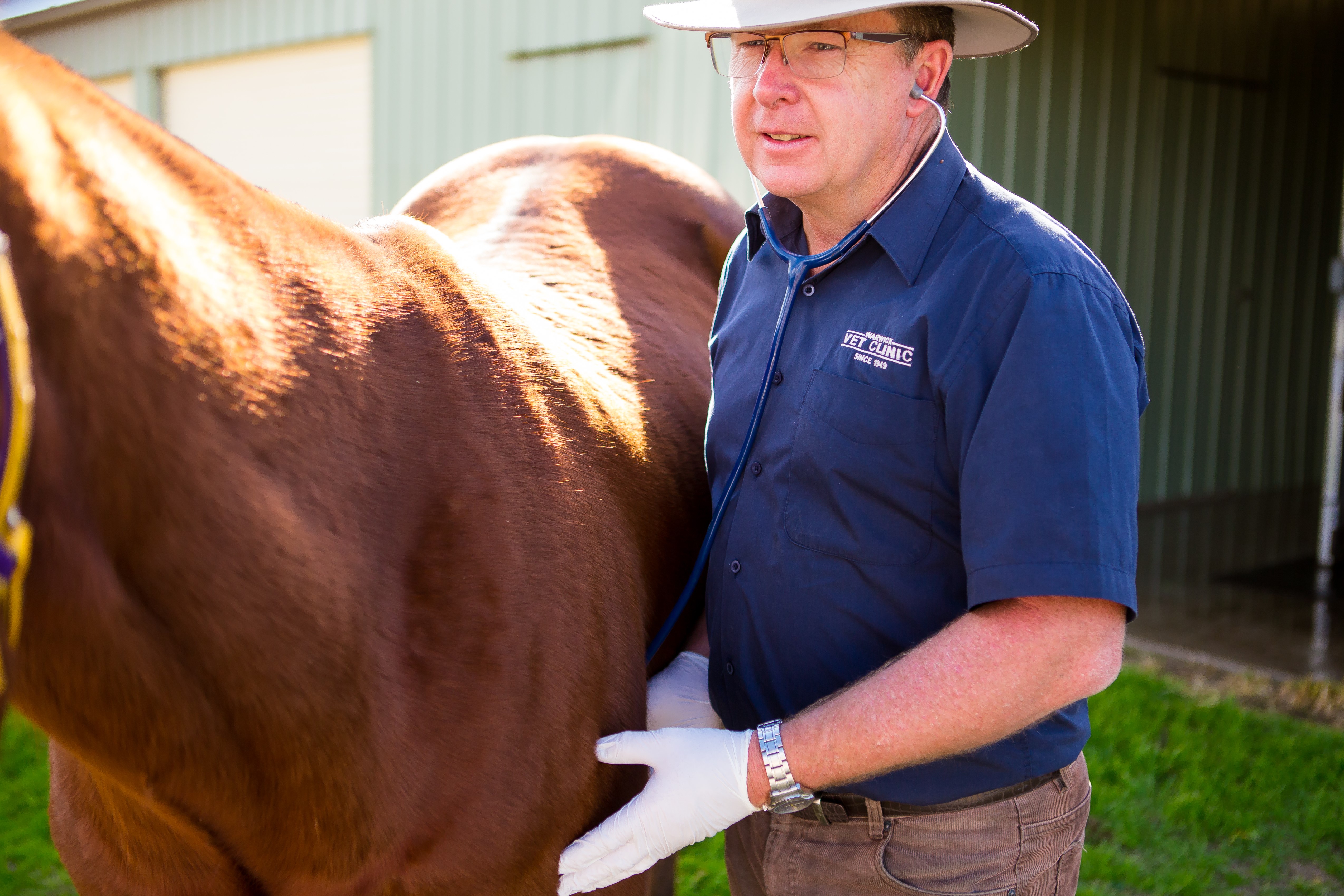 warwick veterinary clinic