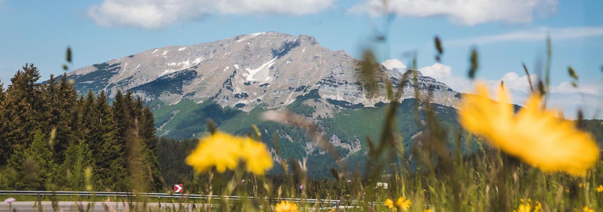 Pension Bodenhof, Langseitenrotte in Langseitenrotte